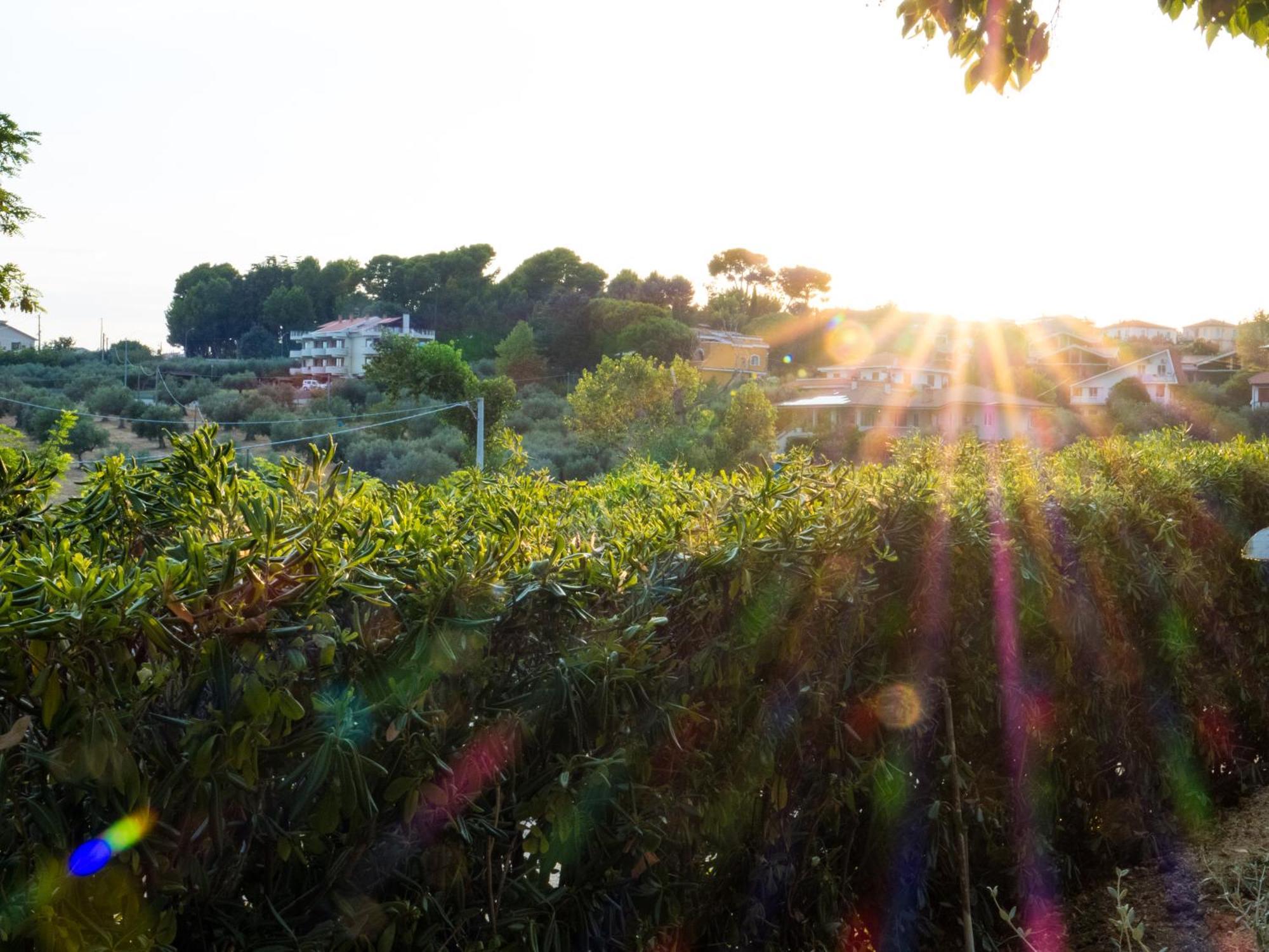 Hotel Giardino Dei Principi D'Abruzzo Città Sant'Angelo Esterno foto